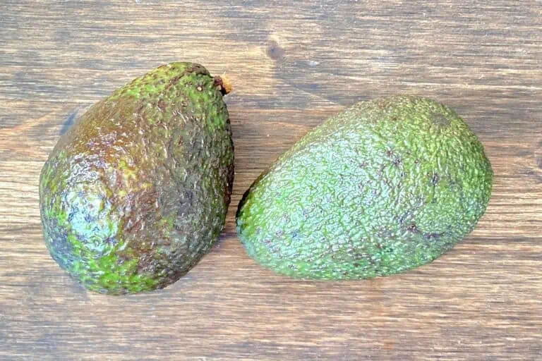 Avocado