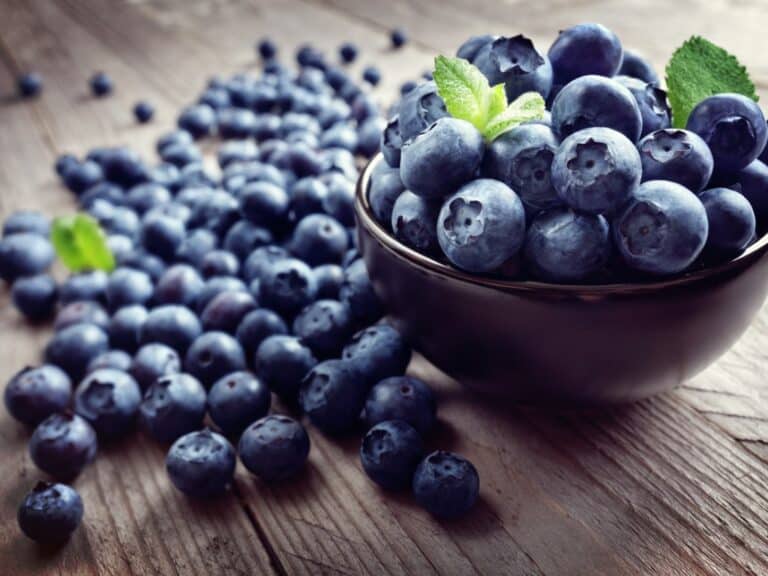 billede til artikel om antioxidanter